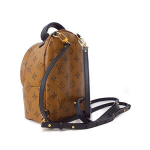 Louis Vuitton Brown Palm Springs Backpack Leather Reverse Monogram